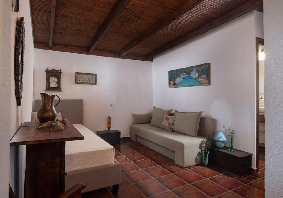 Traditionelles Appartement Athos Shadow Am Meer Paralia Sikias Exterior photo