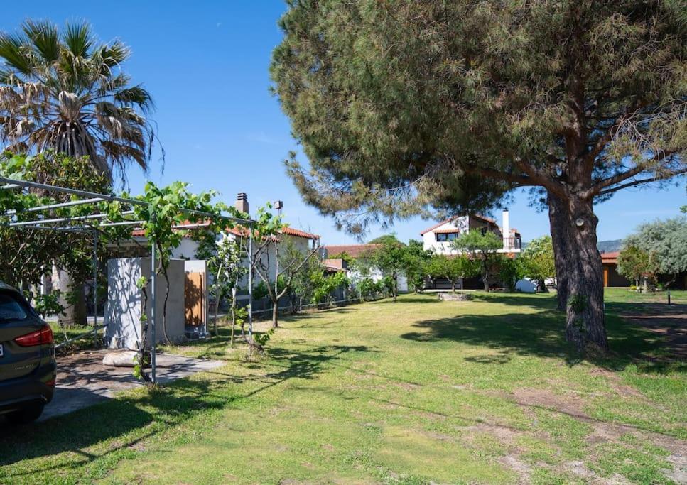 Traditionelles Appartement Athos Shadow Am Meer Paralia Sikias Exterior photo