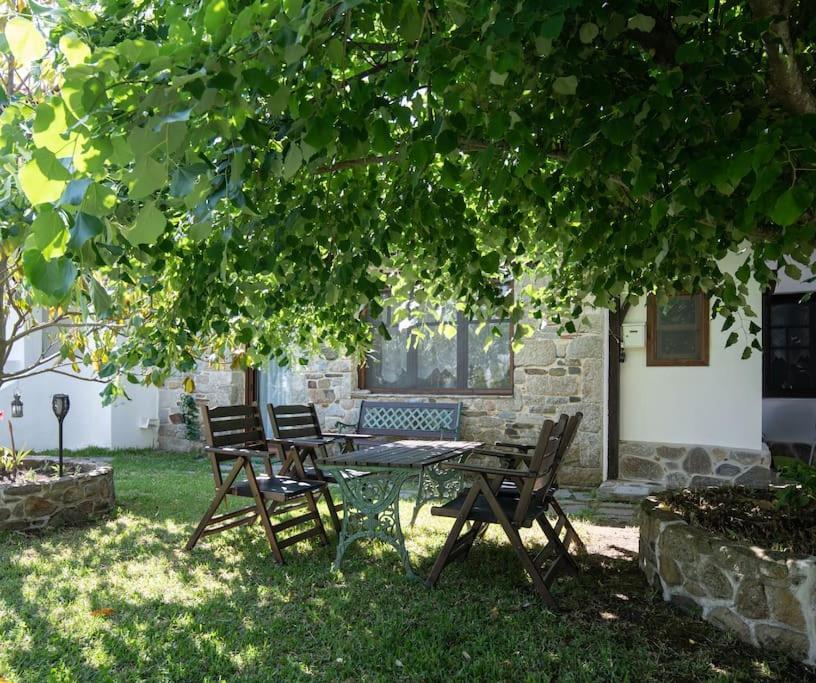 Traditionelles Appartement Athos Shadow Am Meer Paralia Sikias Exterior photo