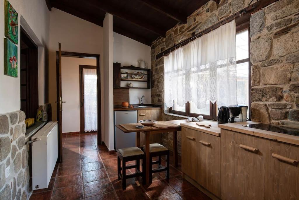 Traditionelles Appartement Athos Shadow Am Meer Paralia Sikias Exterior photo