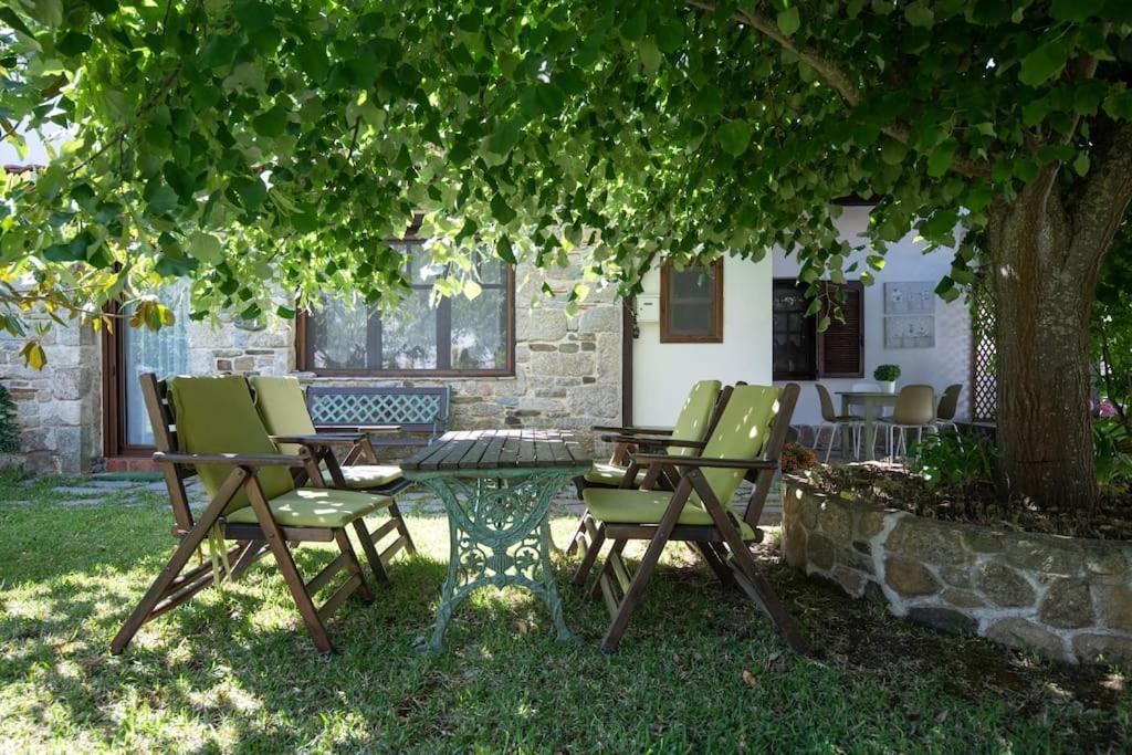 Traditionelles Appartement Athos Shadow Am Meer Paralia Sikias Exterior photo