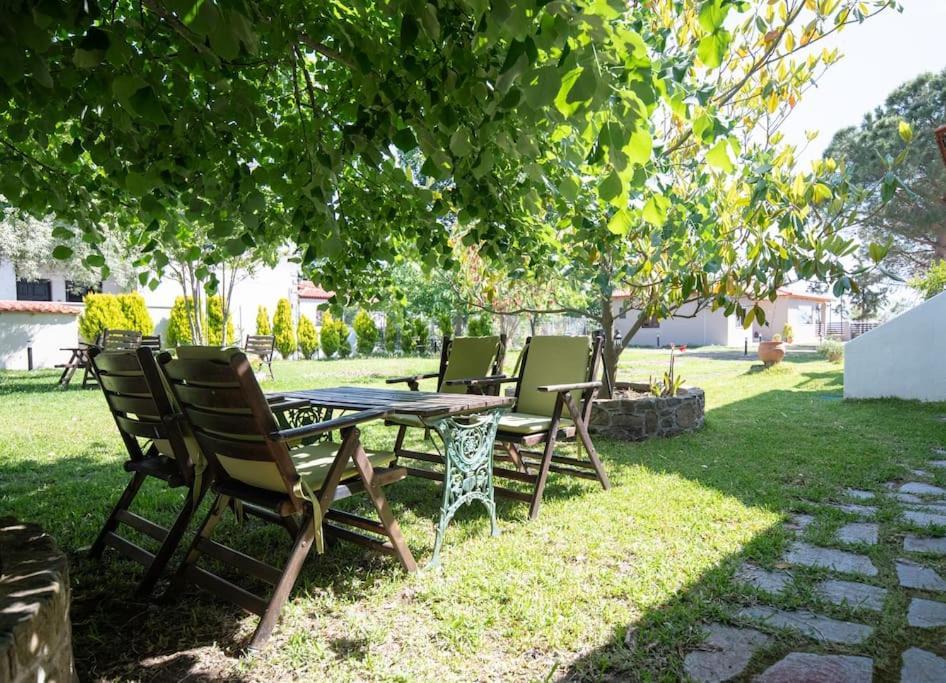 Traditionelles Appartement Athos Shadow Am Meer Paralia Sikias Exterior photo