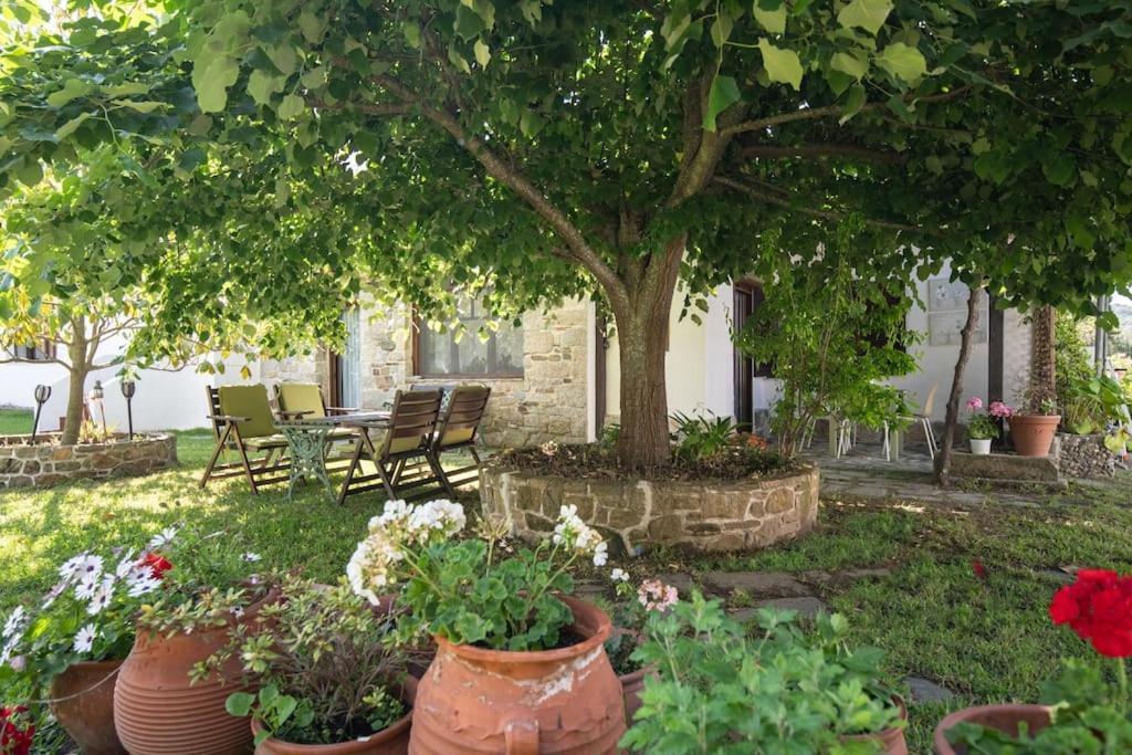 Traditionelles Appartement Athos Shadow Am Meer Paralia Sikias Exterior photo