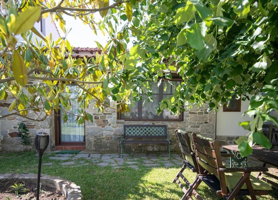 Traditionelles Appartement Athos Shadow Am Meer Paralia Sikias Exterior photo